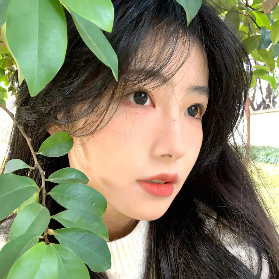 艾薇和豆豆：幽灵退散